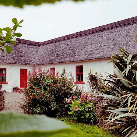 Rose * Doolin