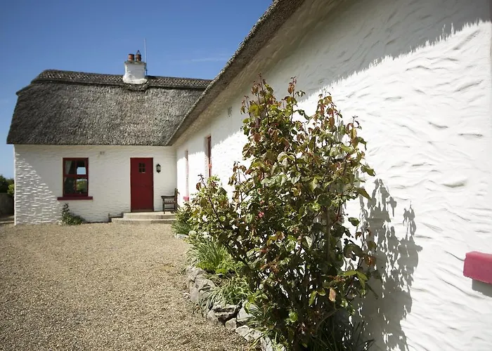 בית נופש Rose דולין